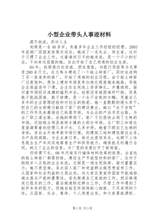 2024年小型企业带头人事迹材料