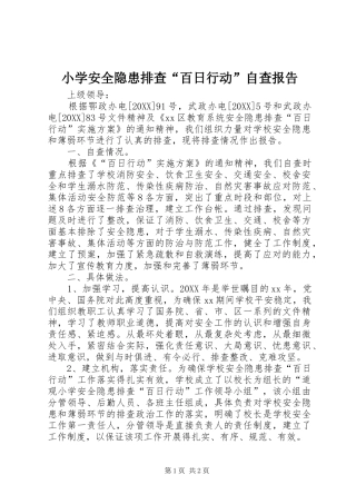 2024年小学安全隐患排查百日行动自查报告