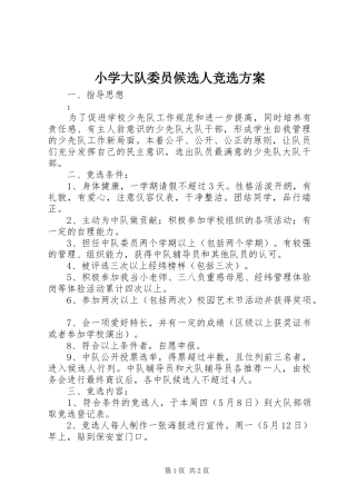 2024年小学大队委员候选人竞选方案