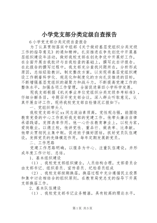 2024年小学党支部分类定级自查报告