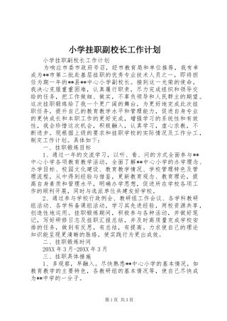 2024年小学挂职副校长工作计划