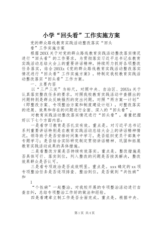 2024年小学回头看工作实施方案