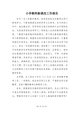 2024年小学教师新课改工作报告