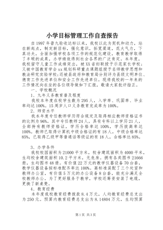 2024年小学目标管理工作自查报告