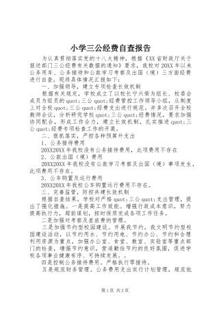 2024年小学三公经费自查报告