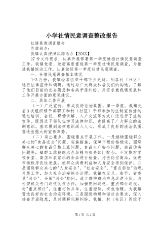 2024年小学社情民意调查整改报告