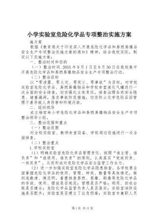 2024年小学实验室危险化学品专项整治实施方案