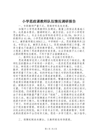 2024年小学思政课教师队伍情况调研报告