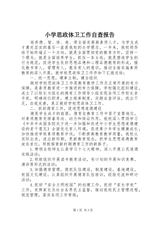 2024年小学思政体卫工作自查报告