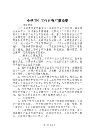 2024年小学卫生工作自查汇报提纲