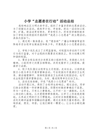 2024年小学志愿者在行动活动总结