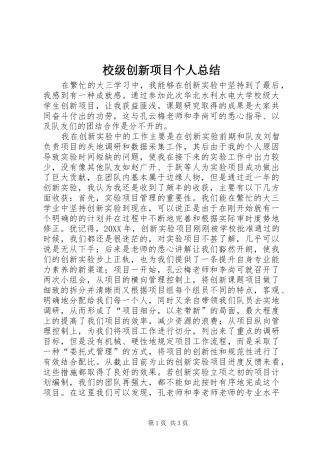 2024年校级创新项目个人总结