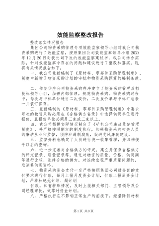 2024年效能监察整改报告