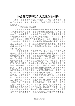 2024年协会党支部书记个人党性分析材料