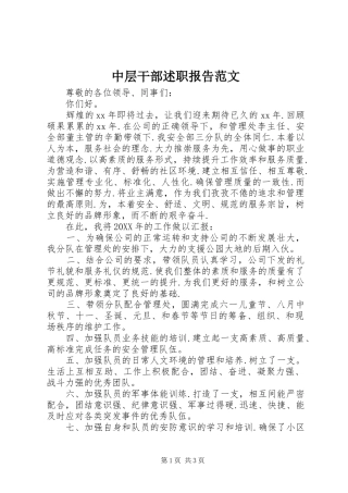 2024年中层干部述职报告范文