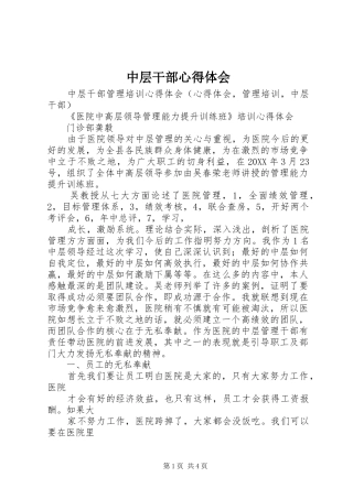 2024年中层干部心得体会