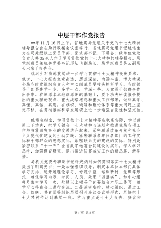 2024年中层干部作党报告