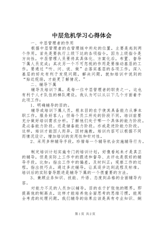 2024年中层危机学习心得体会