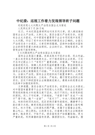 2024年中纪委巡视工作着力发现领导班子问题