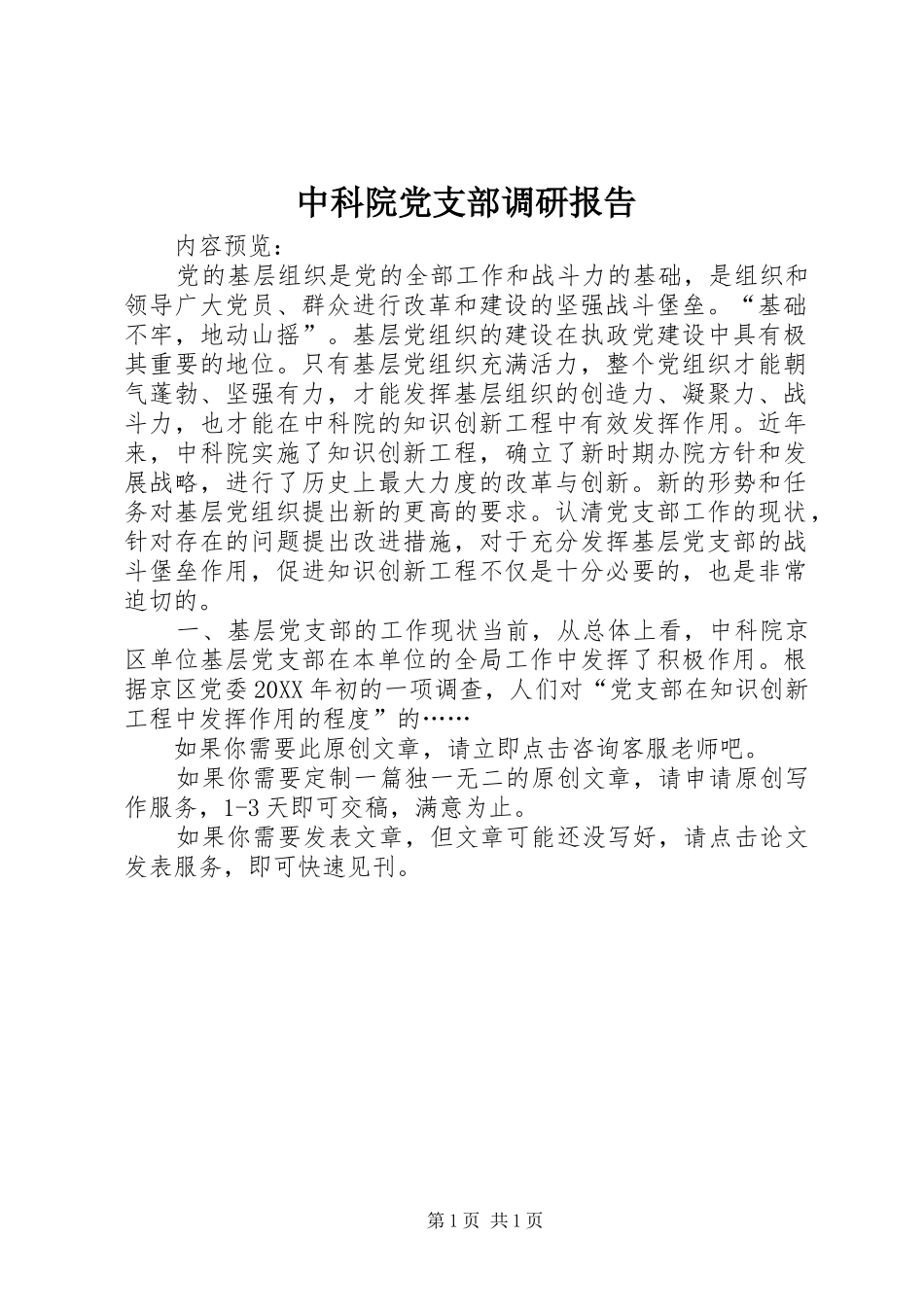 2024年中科院党支部调研报告_第1页