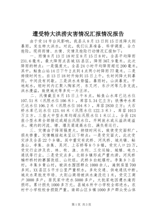2024年遭受特大洪涝灾害情况汇报情况报告