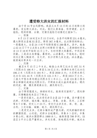 2024年遭受特大洪灾的汇报材料