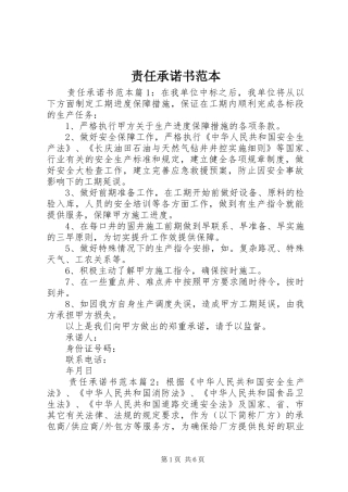 2024年责任承诺书范本
