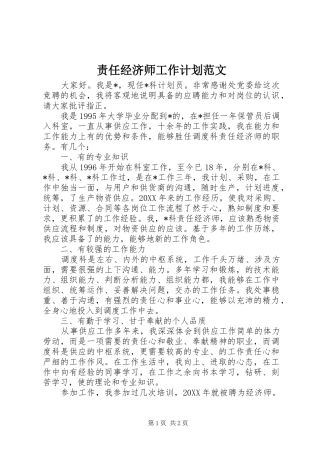 2024年责任经济师工作计划范文
