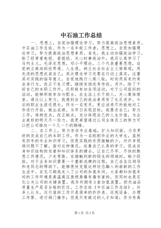 2024年中石油工作总结
