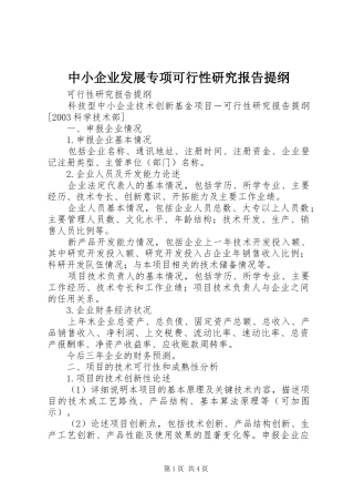 2024年中小企业发展专项可行性研究报告提纲