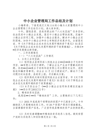 2024年中小企业管理局工作总结及计划