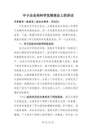 2024年中小企业局科学发展观会上的致辞