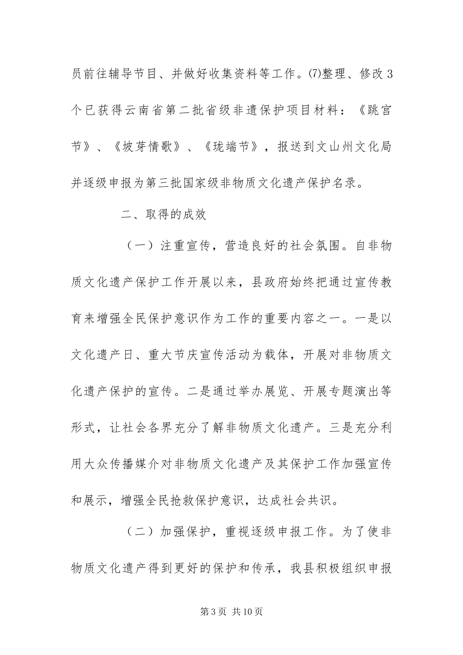2024年非物质文化遗产保护工作总结_第3页
