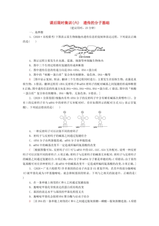 （统考版）高考生物二轮复习 课后限时集训6 遗传的分子基础（含解析）-人教版高三全册生物试题