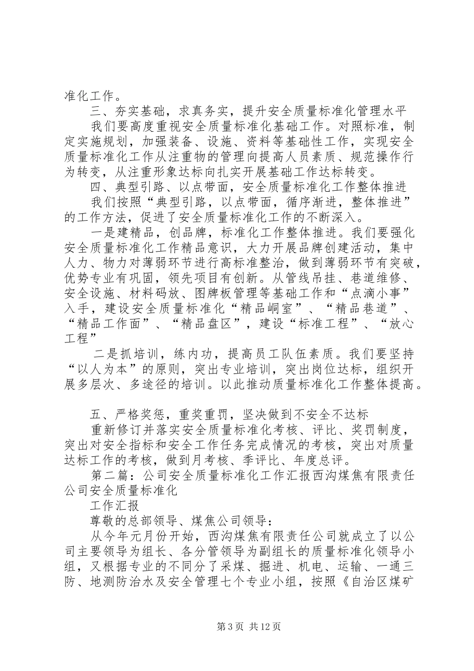 2024年长虹公司质量标准化汇报材料_第3页