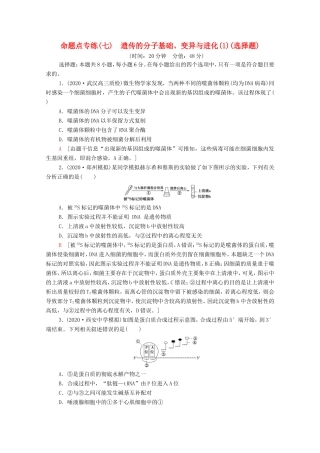（统考版）高考生物二轮复习 命题点专练（七）遗传的分子基础、变异与进化（1）（选择题）（含解析）-人教版高三全册生物试题