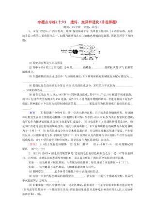 （统考版）高考生物二轮复习 命题点专练（十六）遗传、变异和进化（非选择题）（含解析）-人教版高三全册生物试题