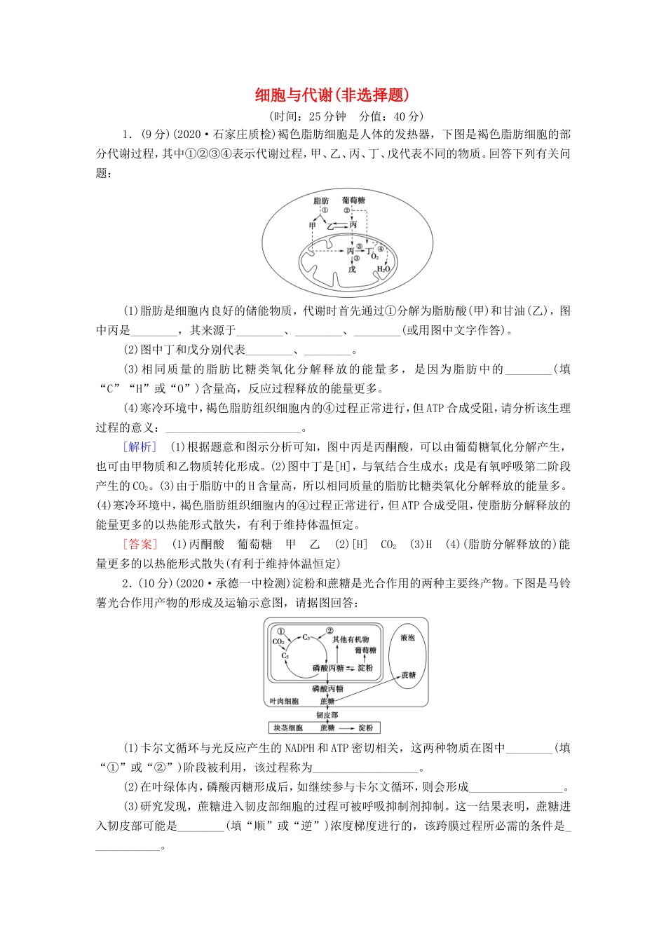 （统考版）高考生物二轮复习 命题点专练（十三）细胞与代谢（非选择题）（含解析）-人教版高三全册生物试题_第1页