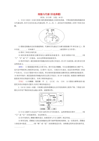 （统考版）高考生物二轮复习 命题点专练（十三）细胞与代谢（非选择题）（含解析）-人教版高三全册生物试题