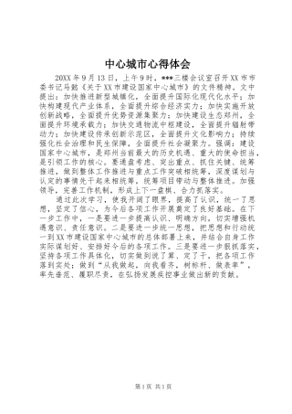 2024年中心城市心得体会