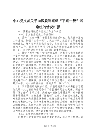 2024年中心党支部关于向区委巡察组下察一级巡察组的情况汇报