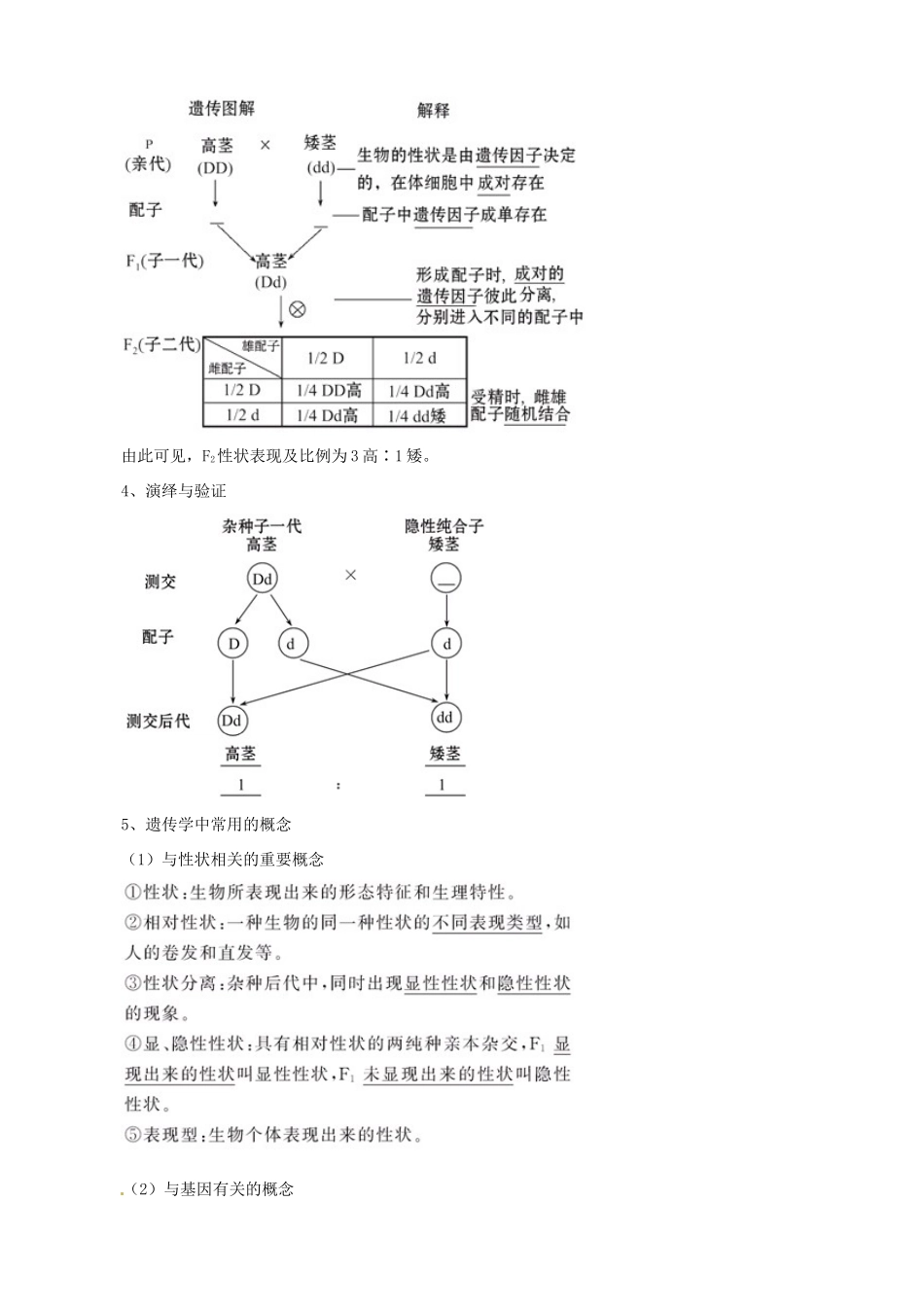 （考纲全景透析）高考生物 1.1 孟德尔的豌豆杂交实验（一）基础复习 新人教版必修2_第2页
