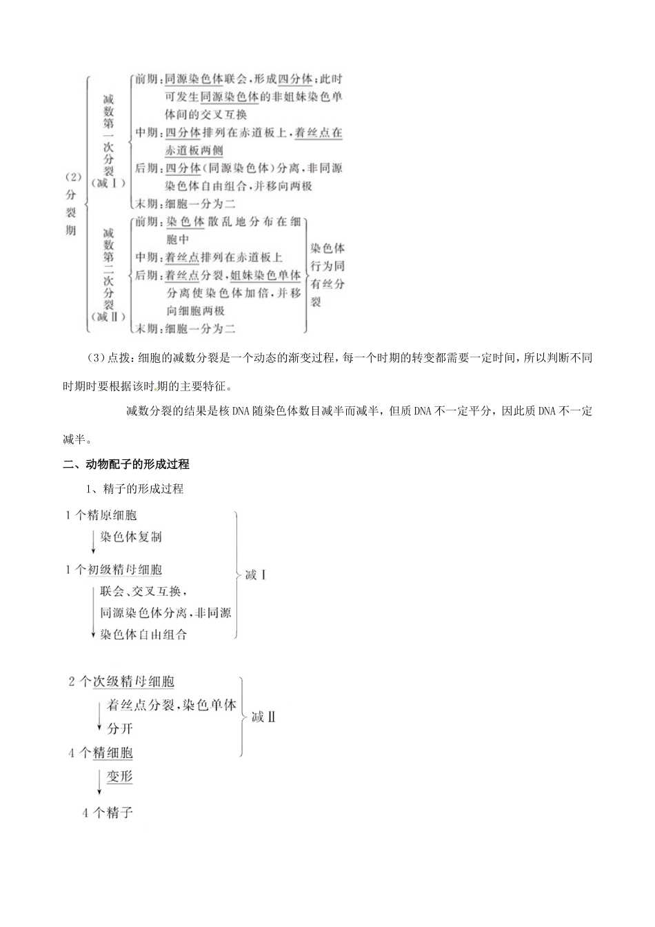 （考纲全景透析）高考生物 2.1 减数分裂和受精作用基础复习 新人教版必修2_第2页