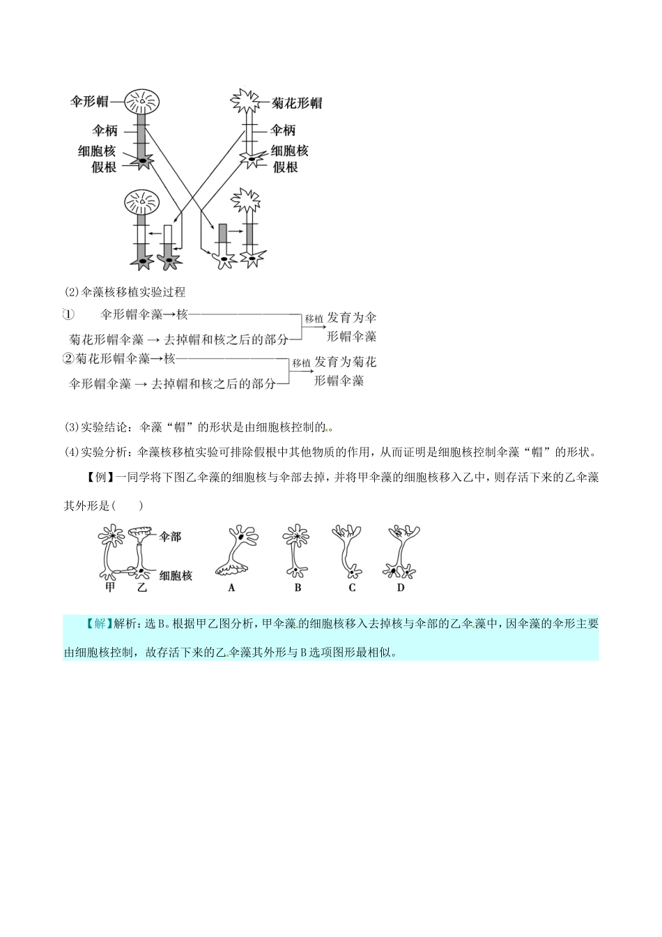 （考纲全景透析）高考生物 3.3 细胞核 系统的控制中心基础复习 新人教版必修1_第3页