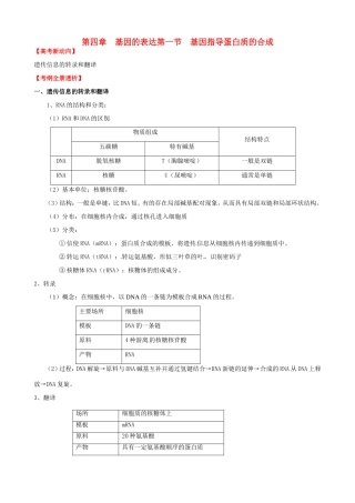（考纲全景透析）高考生物 4.1 基因指导蛋白质的合成基础复习 新人教版必修2