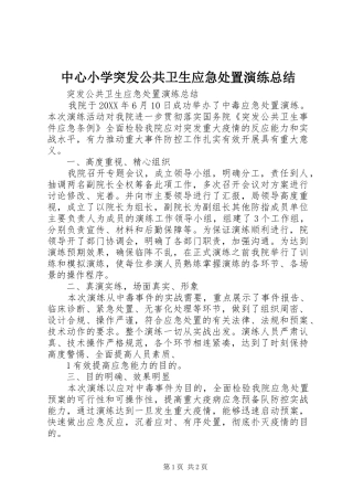 2024年中心小学突发公共卫生应急处置演练总结