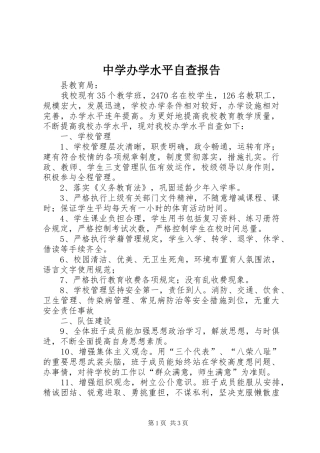 2024年中学办学水平自查报告