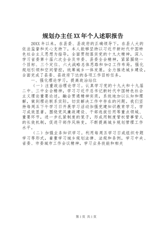 2024年规划办主任个人述职报告