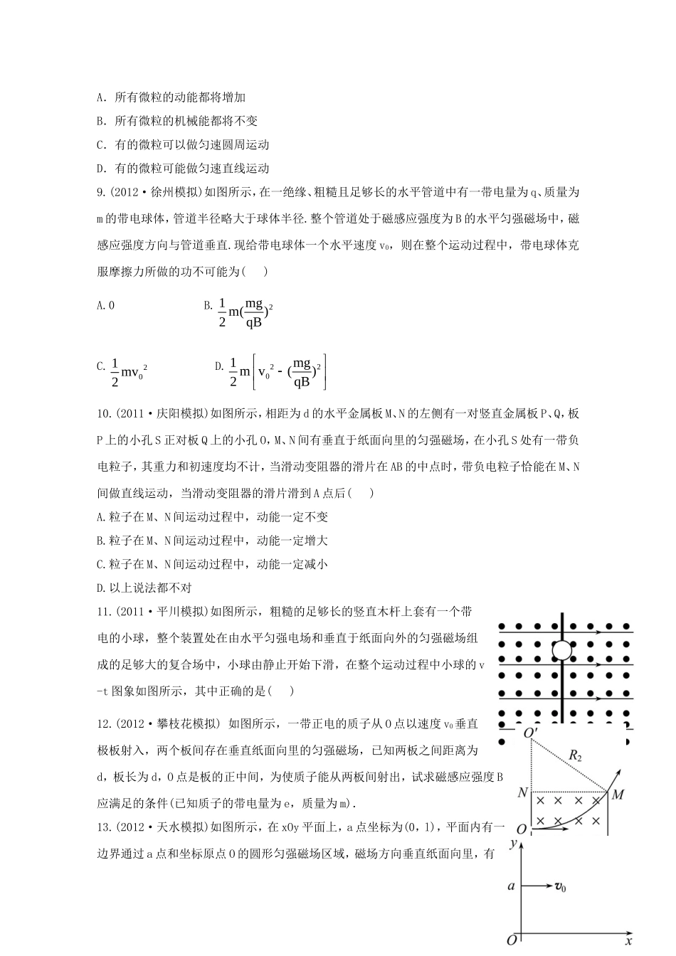 高考物理 模拟+权威预测 专题十磁场_第3页