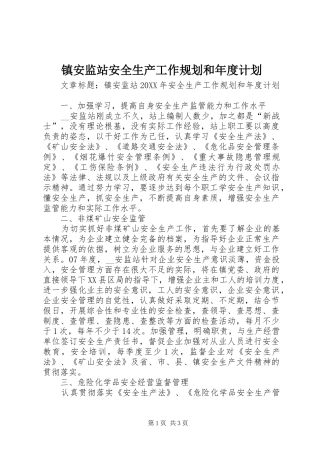 2024年镇安监站安全生产工作规划和年度计划